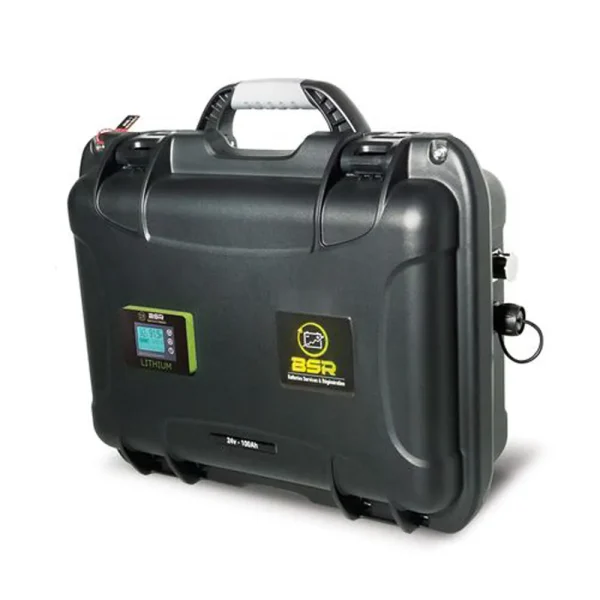 Batteria Al Litio 36v:100 Ah Motor Brush BSR-elmar global service